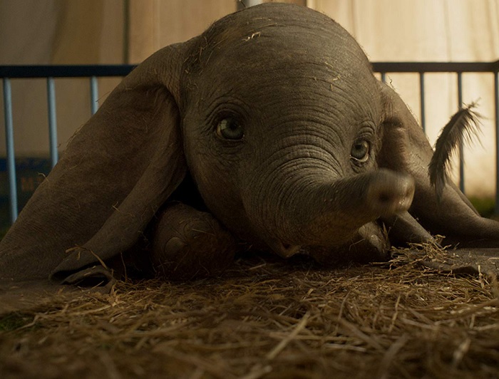 Dumbo - 2019